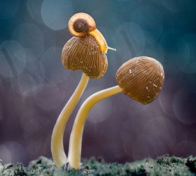 快速切换主题的网页攻击器